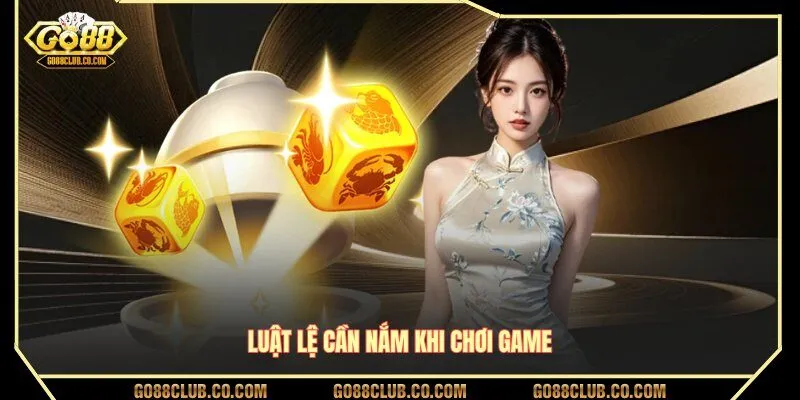 Luật lệ cần nắm khi chơi game