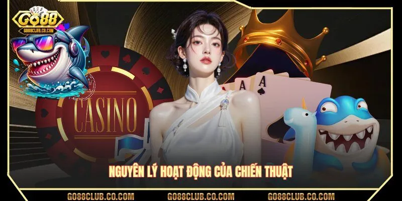 Nguyên lý hoạt động của chiến thuật