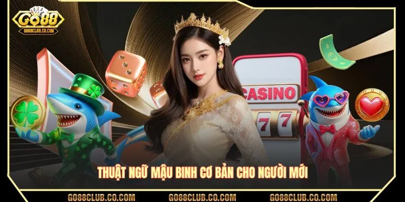Thuật ngữ Mậu Binh cơ bản cho người mới